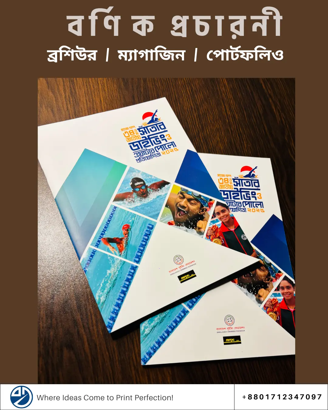 ব্রশিউর / পোর্টফলিও